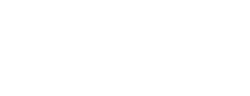 Village at La Floresta logo